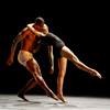 Battery Dance Company Battery Dance Company